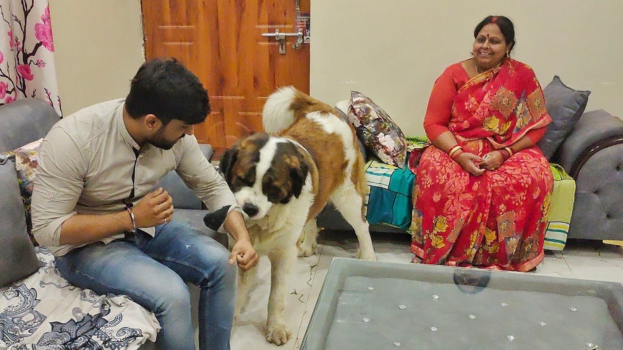 The Cutest Bond between Tyzuu and his Brother | Cute Dog Videos