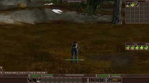 Xsyon - Terraforming