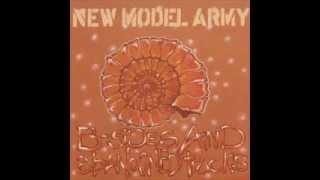 Video thumbnail of "New Model Army - Brave New World 2"