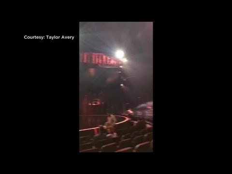 Acrobat dies after falling during Cirque du Soleil show in Tampa
