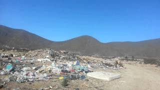 Rinconada el Sauce Coquimbo