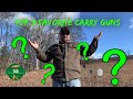 Top 3 favorite carry guns