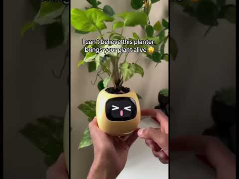 Это цветочный горшок, который скажет, когда нужно ухаживать за растением 🪴