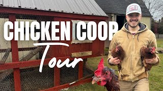 We Got Chickens! Coop Tour + First Impressions 