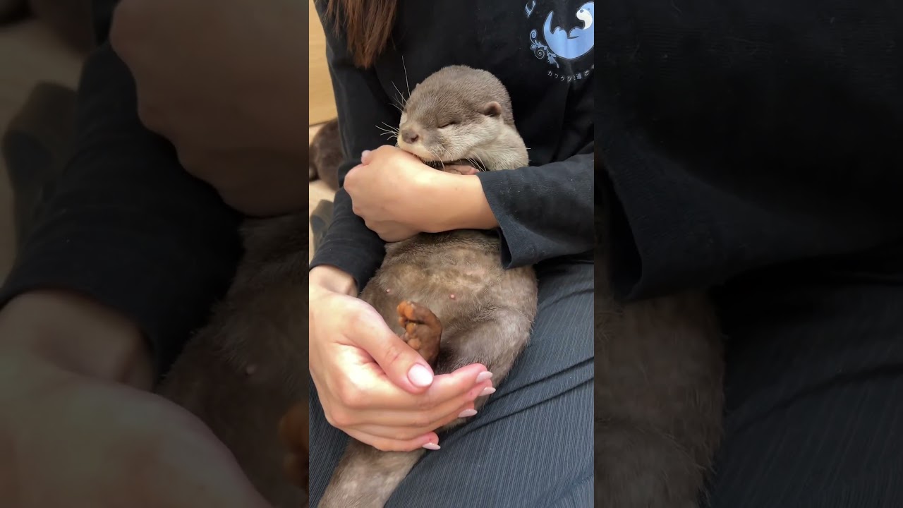 Sleeping Princess Otter Otsuyu 