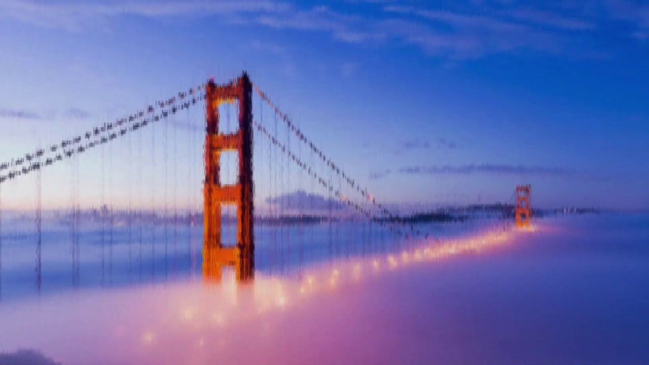 VEKTR Digital Canvas - Go Local with Regional Design Inspiration