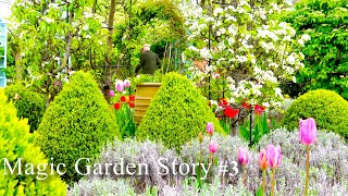 An Artist Walled Garden tour & story, UK, Spring | Gardening in Scotland|Private Cottage