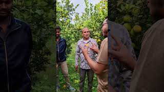 নতুন বাগান করলে করনীয় পরামর্শ #farming #reels #agrifuture