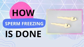 What Is The Process Of Freezing Sperm ➡ Sperm Freezing Process