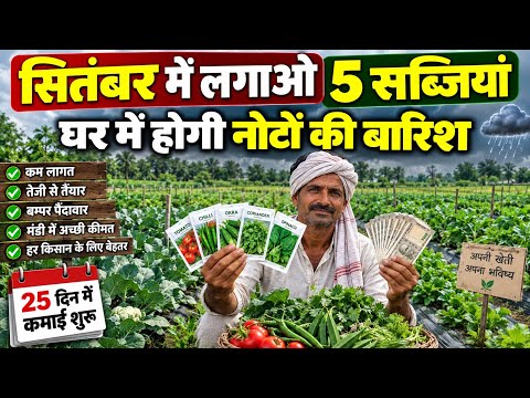 सितंबर में लगाए 5 सब्जियां बिकेगी 100₹ किलो | September Me Konsi Sabji Lagaye | September Vegetables