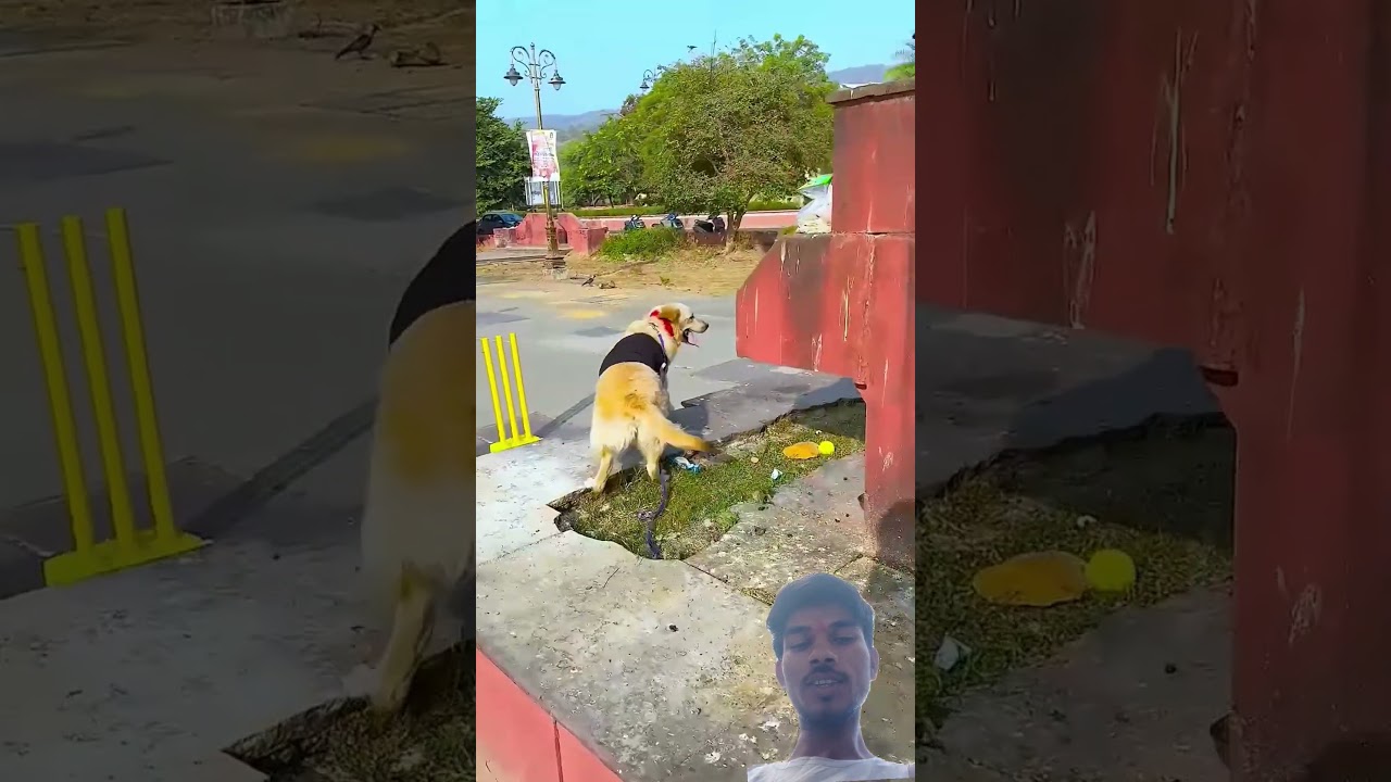 किस से नाराज होकर मेरा डॉगी जा रहा था😱 #funnydogs #shorts