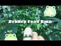 How To Make A Beaded Frog Ring🐸💚🌿
