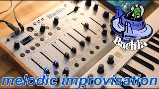 Buchla Ziggy Exploration (Pure Performance)