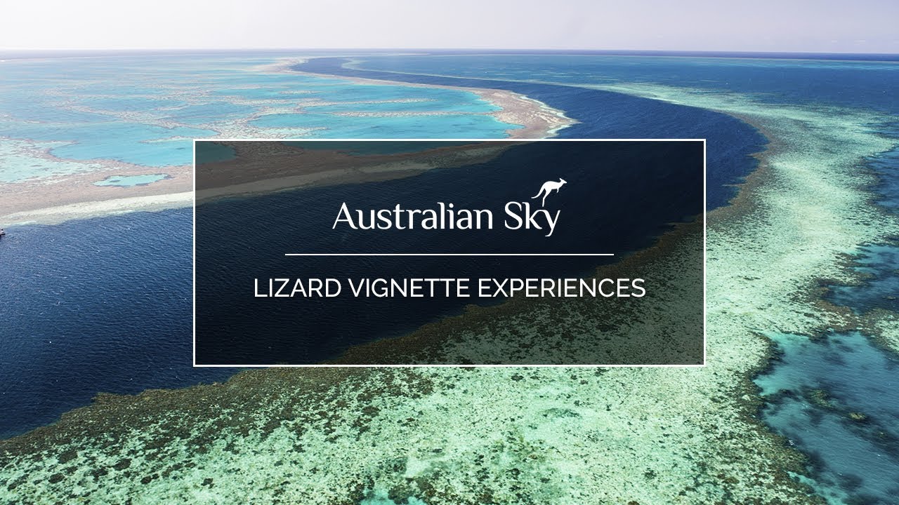 travel company name generator Lizard Vignette Experiences #LikeNowhereElse