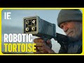 Robotort  the robotic tortoise that bites back