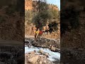 #aghbalo#midelt#khénifra#morocco#اكسبلور#trending#ترند#maroc #story#nature#water#travel#live #music