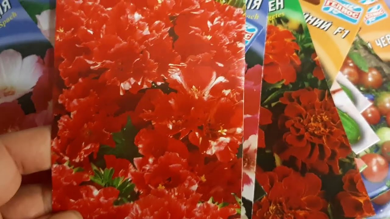 Квіти на яких заробляють гроші🌺💰