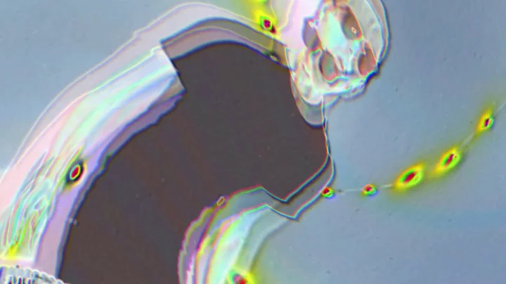 Tom Cassidy - Thing For You [OFFICIAL VIDEO]