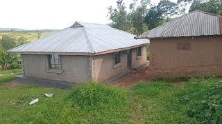 VISIT MAMA AUSTIN  COMPOUND 