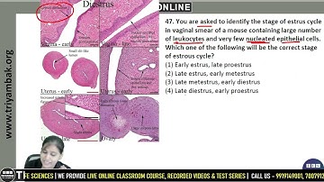 | CSIR PYQ : 2015 | Part - C | VIDEO SOLUTION | Month : December |