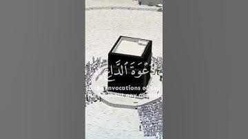 أجمل التلاوات التي تخشع لها القلوب