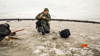 Fishing for Whitefish on the Bay of Green Bay 2024 | Sturgeon Bay | Wisconsin Ice Fishing
