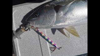 High pitch and slow pitch jigging with evergreen poseidon slow jerker 603-4