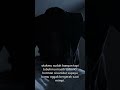 Misteri Ketindihan! Serangan Gaib? 😴👤 #shorts #faktaunik #kesehatan #misteri #horror