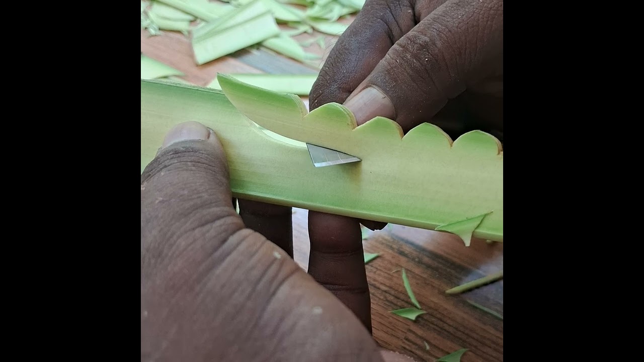 ගොක්කොල කැටයම්... අපෙන් විතරයි...💚💚☺️☺️