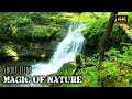 Short film  hiking trip  the magic of nature  4k