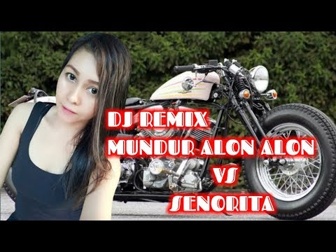 DJ REMIX KOPLO -  MUNDUR ALON ALON VS SENORITA
