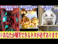 【神まとめ】電車で見ると絶対に後悔するクセ強爆笑画像がヤバすぎたwww【ゆっくり】