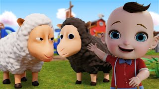 Baa Baa Black Sheep | Sheep Song for Kids & More Nursery Rhymes