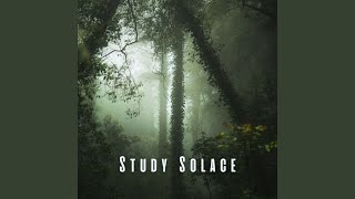 Ambient Study Chords News