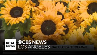 Mexican Mother's Day at the flower mall in DTLA