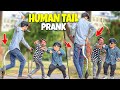 Human tail prank  funny reactions  newtalentofficial