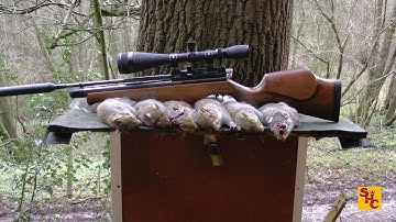 Pest Control with Air Rifles - Squirrel Shooting - Return of the Scope Cam