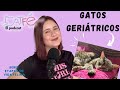 Gatos geriátricos 😺 Serie: Etapas de vida felina | Ep.3 Catfé, el podcast