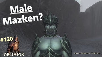 TES4 Oblivion [120]: Retaking the Fringe
