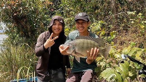 Rô phi khủng 2.1kg - Mè vinh 1kg | Trải nghiệm câu cá tự nhiên hồ cho mo đầy hấp dẫn!