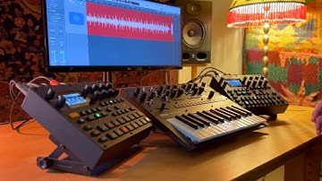 Korg Monologue | Digitakt II | Digitone II - IDM Electronica