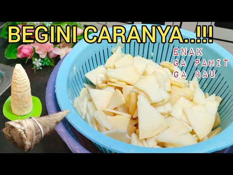 Cara Masak Rebung Bambu