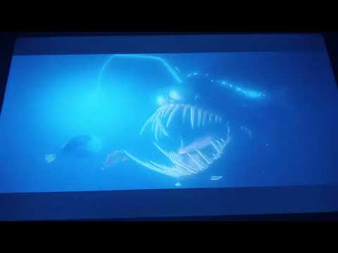 Finding Nemo Anglerfish Chase