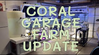 Saltwater Coral Garage Farm - Update