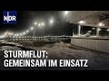 Gemeinsam gegen die Sturmflut - Retten, was zu retten ist | Die Nordreportage | NDR Doku