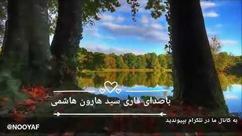 تلاوت زیبای سید هارون هاشمی سوره مبارکه، لیل،به سبک مقام صباء ،حدر