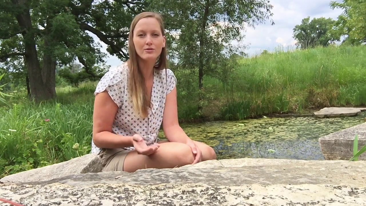 Indiana Water Quality Week Intro YouTube