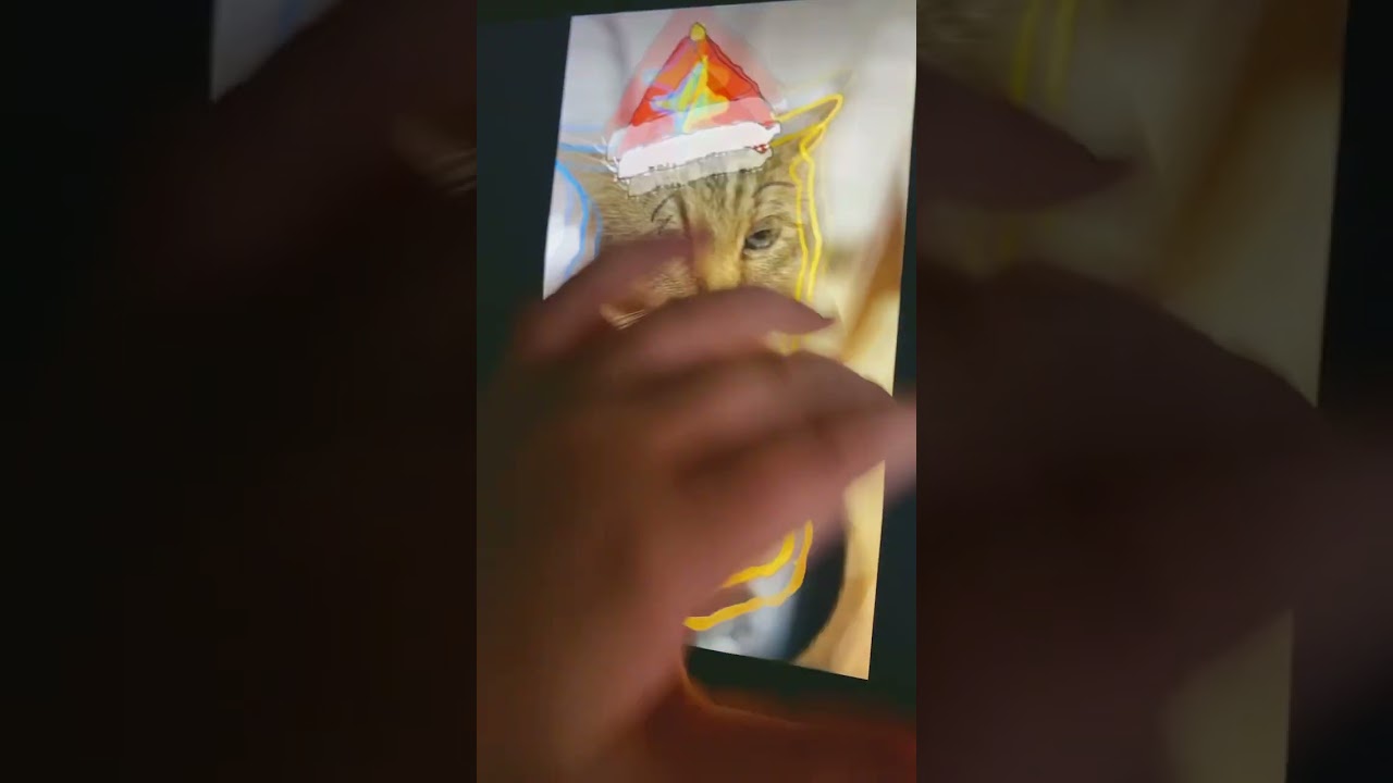 Кагда зашол а тек ток и понял кагда пасматрел 2 видео понял то што тик ток стал катячим🐱