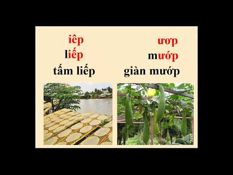 Tiếng việt 1 - Bài 89: iêp-ươp