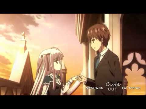 Absolute duo AMV